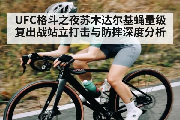 UFC格斗之夜苏木达尔基蝇量级复出战站立打击与防摔深度分析