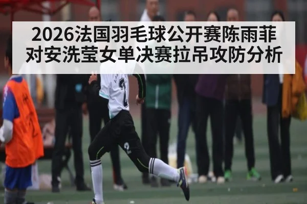 2026法国羽毛球公开赛陈雨菲对安洗莹女单决赛拉吊攻防分析